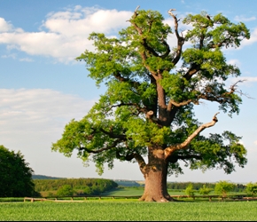Becoming whole | From Forty With Love