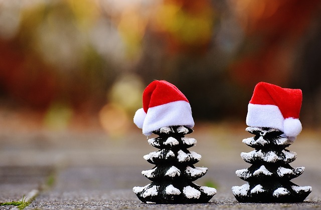 christmas-1892711_640